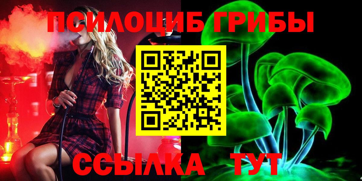 Псилоцибиновые грибы Psilocybe  Вход с VPN  Заводоуковск 